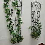 Apartamento Grupo Limcotel El Paseito De Concha-mesquita-parking *