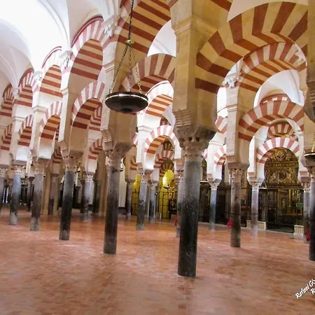 Grupo Limcotel El Paseito De Concha-mesquita-parking