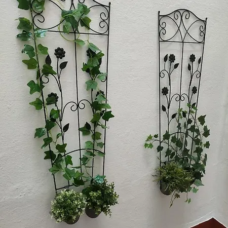 Διαμέρισμα Grupo Limcotel El Paseito De Concha-mesquita-parking *