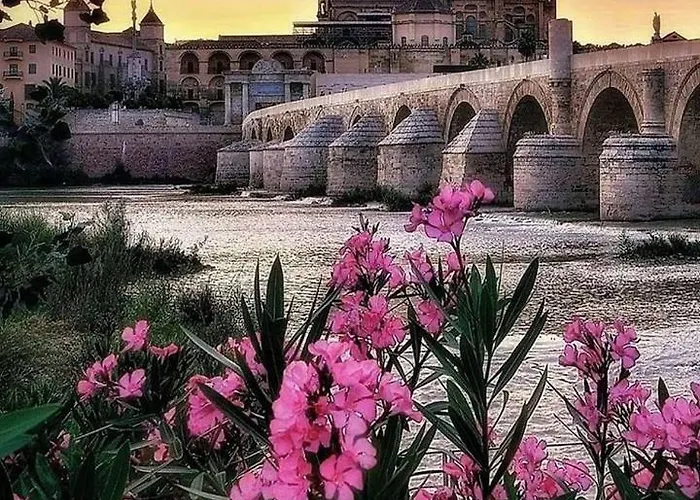Grupo Limcotel El Paseito De Concha-mesquita-parking *
