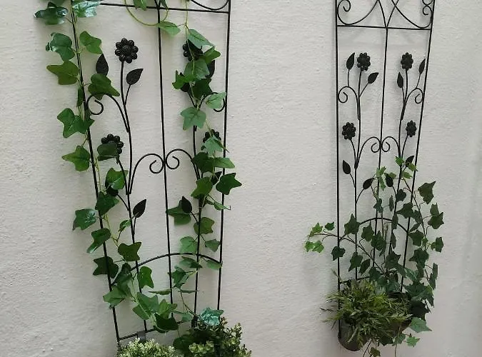 Διαμέρισμα Grupo Limcotel El Paseito De Concha-mesquita-parking *