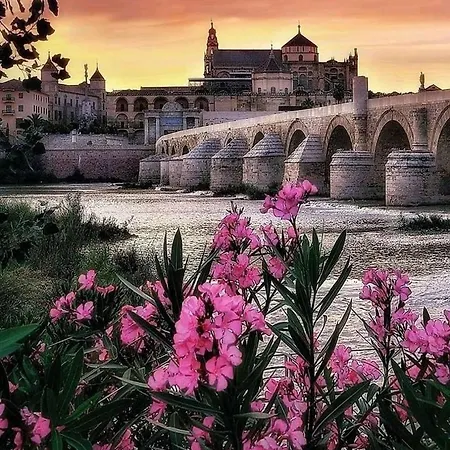 Grupo Limcotel El Paseito De Concha-mesquita-parking *