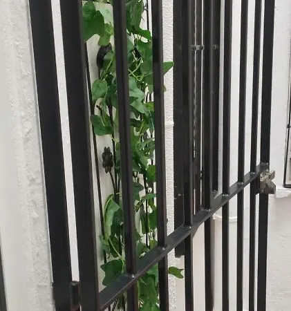 Grupo Limcotel El Paseito De Concha-mesquita-parking *